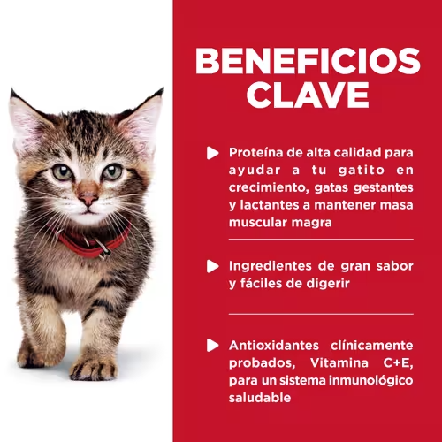 Alimento Húmedo Hills Pouch para Gatitos Sabor Pollo - 12 Pack Alimento Húmedo Hills Pouch para Gatitos Sabor Pollo - 12 Pack